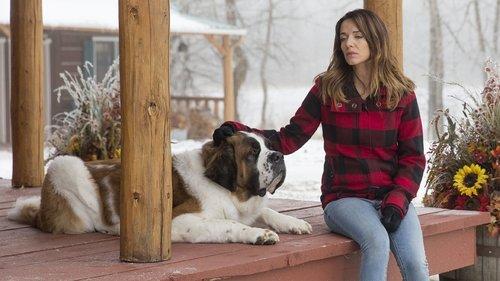 Heartland Season 6 Episode 15 - After All We Have Been Through