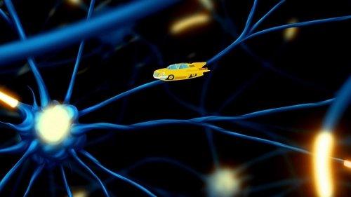 The Magic School Bus Rides Again Season 1 Episode 11 - Ralphie Strikes a Nerve