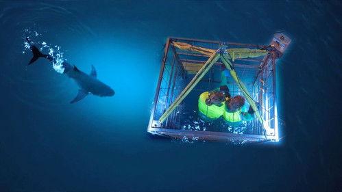 Code van Coppens Season 6 Episode 3 - Episode 3