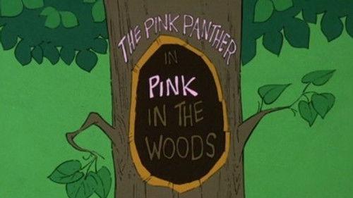 The All New Pink Panther Show Season 1 Episode 12 - Pink in the Woods