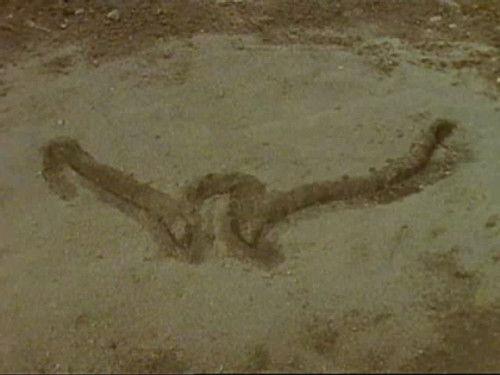 Are You Afraid of the Dark? Season 5 Episode 2 - The Tale of the Jagged Sign