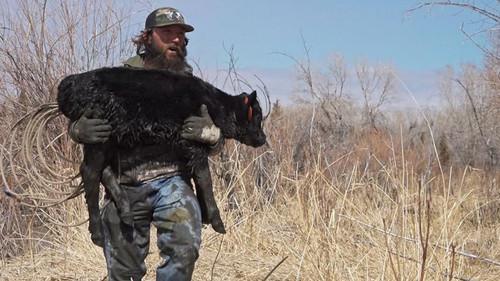 Mountain Men Season 9 Episode 10 - Tom's Big Day