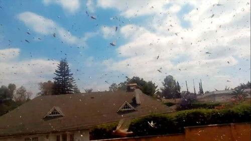 Paranormal Caught on Camera Season 1 Episode 6 - Infamous Oregon Bigfoot Footage and More