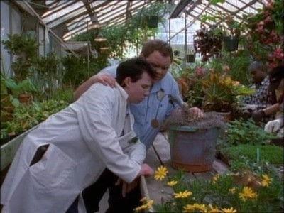 Power Rangers Season 4 Episode 11 - A Few Bad Seeds