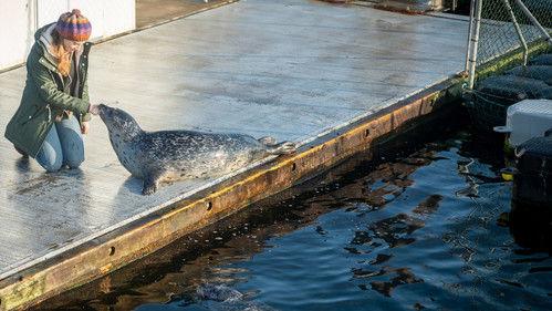 SOKO Wismar Season 17 Episode 1 - Episode 1