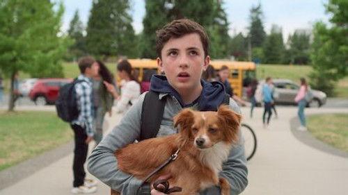 The Healing Powers of Dude Season 1 Episode 1 - Second Step: Homeroom