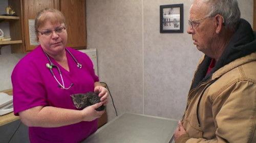 The Incredible Dr. Pol Season 15 Episode 6 - More Than a Feline