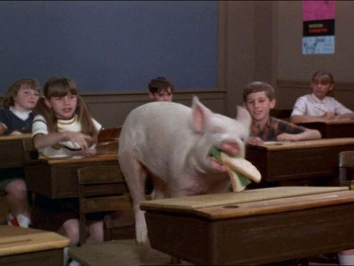 Green Acres Season 5 Episode 20 - The Confrontation