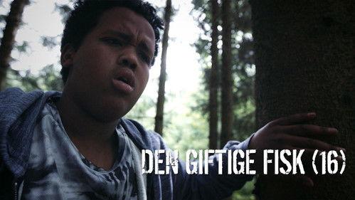 The Camp Season 1 Episode 16 - The poisonous Fish