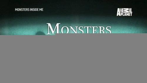 Monsters Inside Me Season 7 Episode 7 - Holiday from Hell