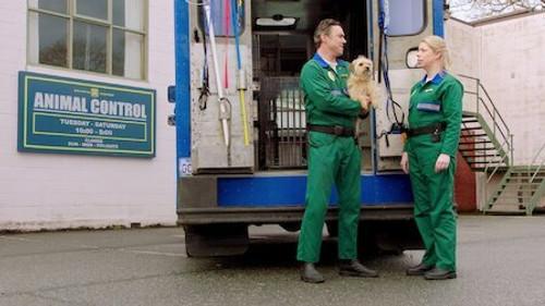 Pup Academy Season 2 Episode 5 - The King Sting