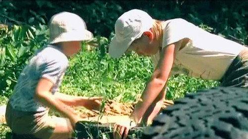 The investigation was conducted Season 5 Episode 17 - Episode 17