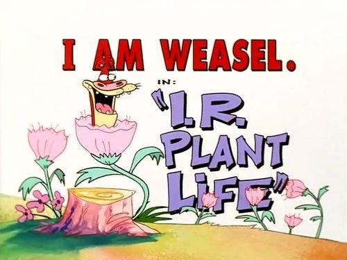 I Am Weasel Season 1 Episode 9 - I.R. Plant Life