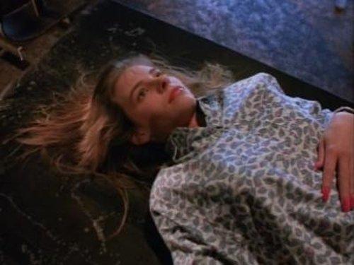 Silk Stalkings Season 1 Episode 9 - The Brotherhood