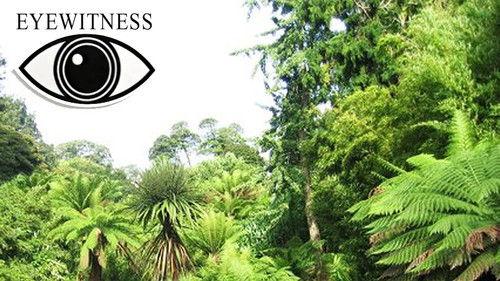 Eyewitness Season 1 Episode 10 - Jungle