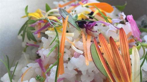 Top Chef Season 12 Episode 6 - Episode 6