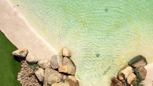 La facture Season 29 Episode 10 - Episode 10