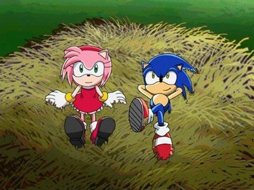 Sonic X Season 1 Episode 24 - How to Catch a Hedgehog