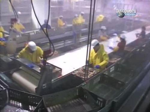 Deadliest Catch Season 1 Episode 8 - Good Fishing