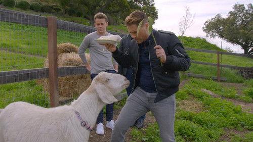 The Lowe Files Season 1 Episode 7 - Mind Games