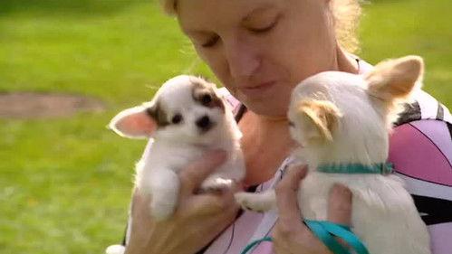 De Pfaffs Season 9 Episode 5 - Episode 5