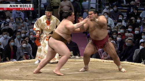 GRAND SUMO Highlights Season 14 Episode 13 - Day 13