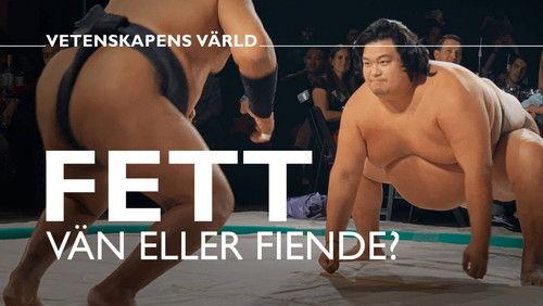 Vetenskapens värld Season 48 Episode 10 - Episode 10