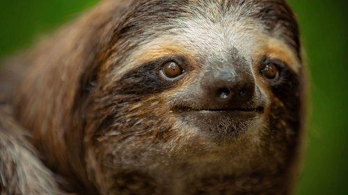 Underdogs Season 1 Episode 5 - Total Grossout