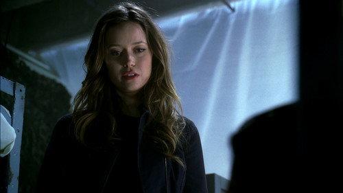 Terminator: The Sarah Connor Chronicles Season 2 Episode 19 - Today Is the Day (2)