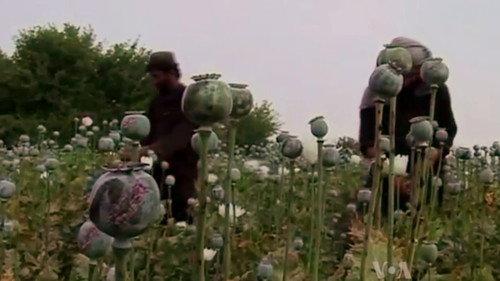 Declassified: Untold Stories of American Spies Season 2 Episode 4 - Haji Bagcho: The Godfather of Heroin