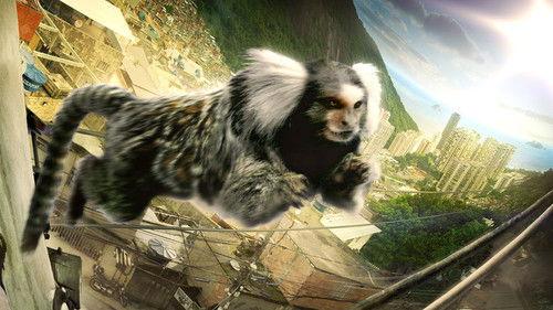 undefined Season 1 Episode 3 - Urban Jungles