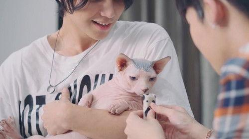 Ingredients Season 1 Episode 12 - Attraction