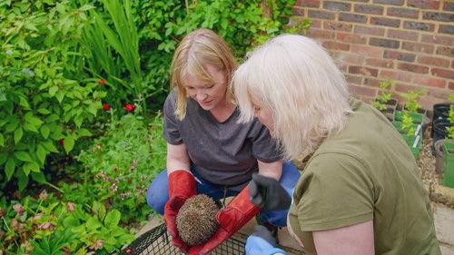 Joanna Page's Wild Life Season 1 Episode 7 - Episode 7
