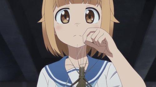 Diary of Our Days at the Breakwater Season 1 Episode 8 - Freshwater Prawns