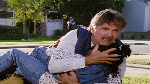 Picket Fences Season 4 Episode 4 - Bloodbrothers