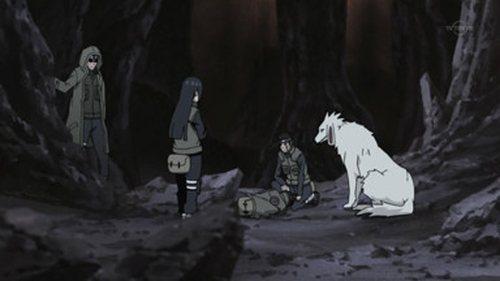 undefined Season 13 Episode 279 - White Zetsu's Trap