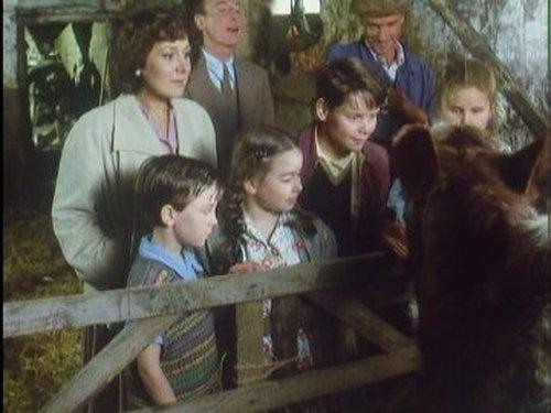 All Creatures Great and Small Season 4 Episode 7 - Ace, King, Queen, Jack