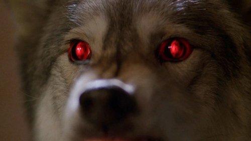 undefined Season 6 Episode 16 - Alpha