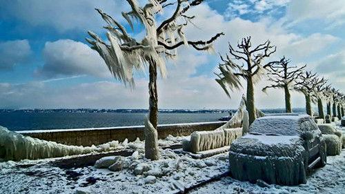 Nature's Weirdest Events Season 1 Episode 1 - Episode 1