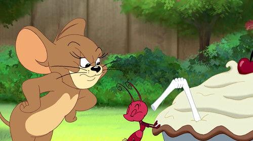 Tom and Jerry Tales Season 2 Episode 21 - Little Big Mouse