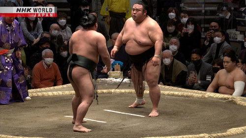 GRAND SUMO Highlights Season 15 Episode 7 - Day 7