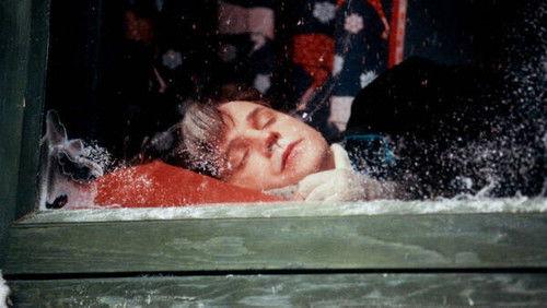 Julkalendern Season 38 Episode 14 - Episode 14