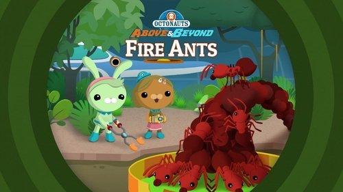 Octonauts: Above & Beyond Season 1 Episode 22 - The Octonauts and the Fire Ants