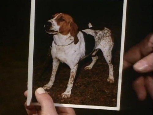 Ironside Season 3 Episode 24 - Little Dog, Gone