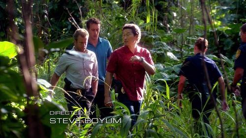 Hawaii Five-0 Season 2 Episode 17 - Kupale (Defender)