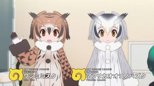 Kemono Friends Season 2 Episode 6 - A New Morning