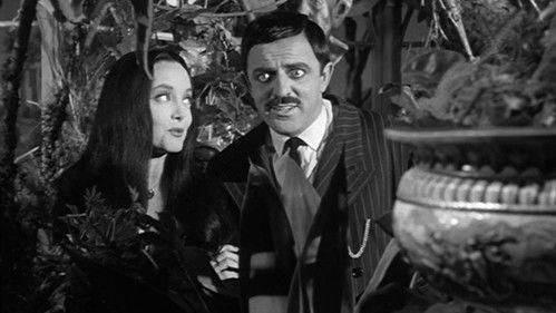 undefined Season 1 Episode 7 - Halloween with the Addams Family