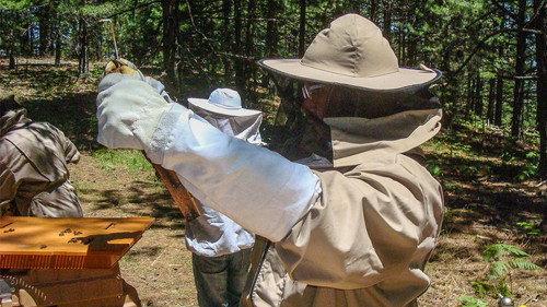 How Do They Do It? Season 11 Episode 10 - Beekeeping. Trikes. Body Armour