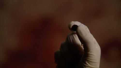 The Good Wife Season 1 Episode 14 - Hi