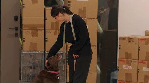 The D'Amelio Show Season 2 Episode 4 - Clout-Chasing Sister